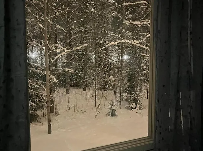 Ahkio North Appartement Rovaniemi